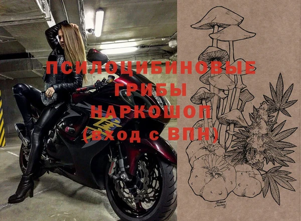 крисы Армянск