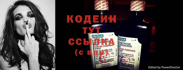 крисы Армянск