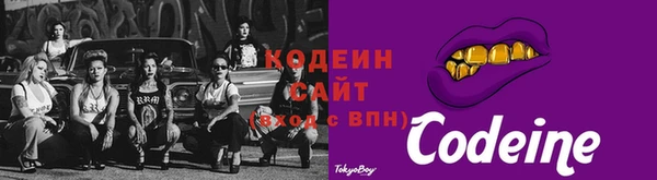 соль ск Арсеньев