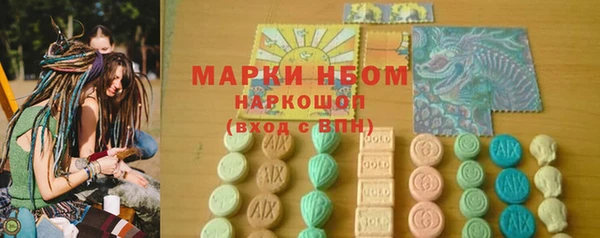 крисы Армянск